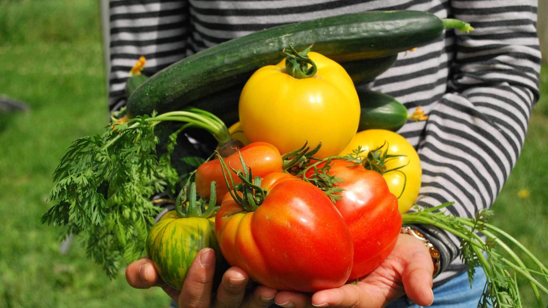 inOrto Bonduelle | domande e risposte - come abbinare pomodori, melanzane, peperoni, zucchine, cetrioli inOrto Bonduelle | domande e risposte - come abbinare pomodori, melanzane, peperoni, zucchine, cetrioli