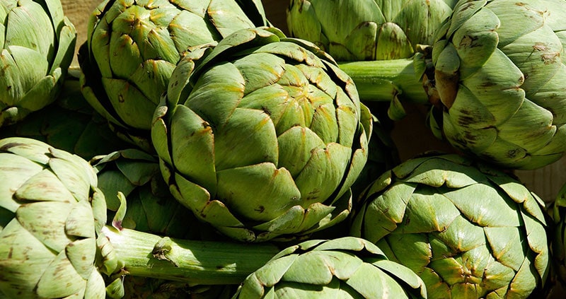 Coltivazione dei carciofi - Inorto