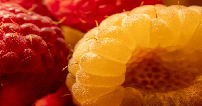 710x375 fruttiii Frutti di lampone - InOrto