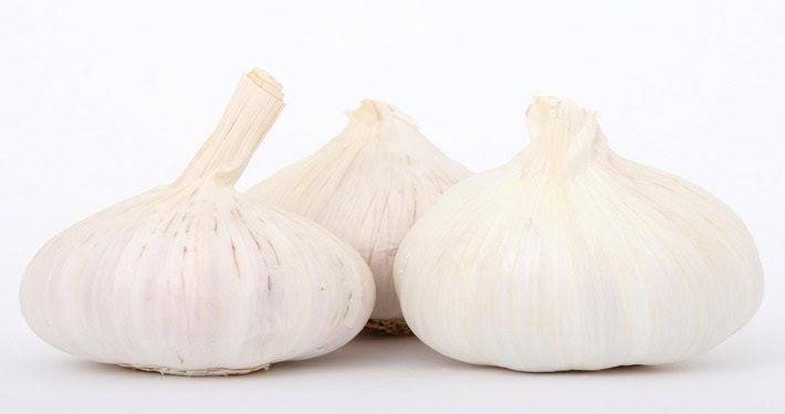 garlic-1238337_1920 (1) Aglione - InOrto