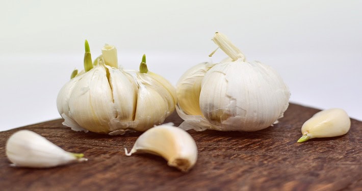 garlic-3084850_1920 (1) Aglione in cucina - InOrto