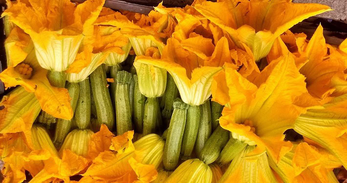 yellow-1539438_1280 (1) Zucchine con fiori persistenti - InOrto