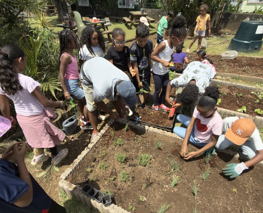 Un orto scolastico - InOrto