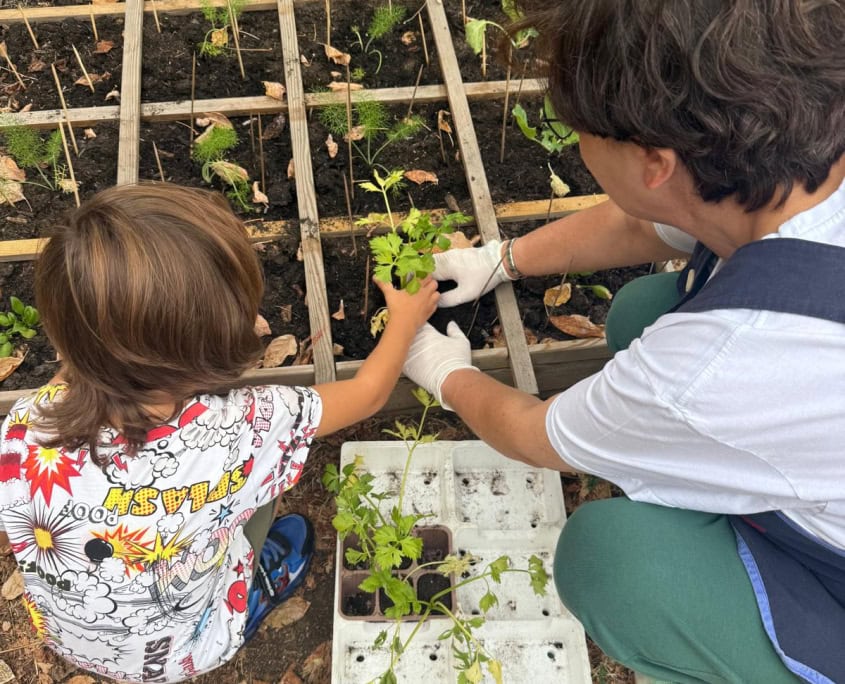 Un orto in cassoni - InOrto