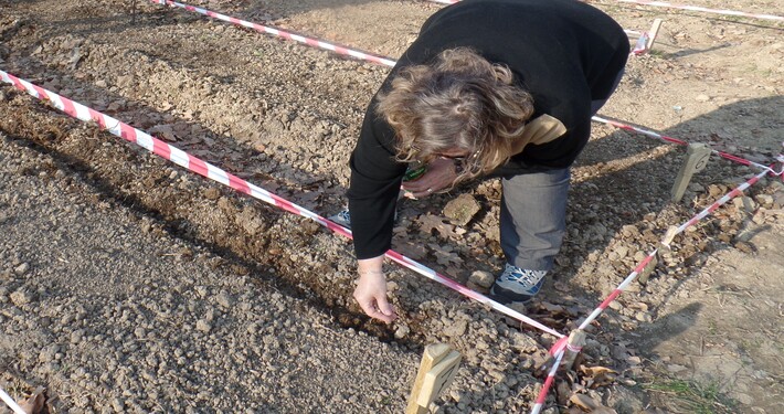 Semina a file - InOrto